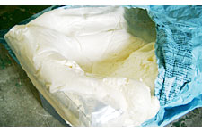 ���p�i�̍���Ƀv���_���i�_���r�[�Y�j 