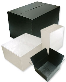 プラダン(ダンビーズ) フリーサイズ