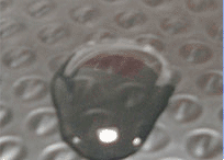 プラダン(ダンビーズ) フリーサイズ