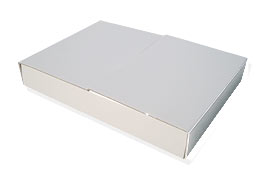 �v���X�`�b�N�_���{�[����